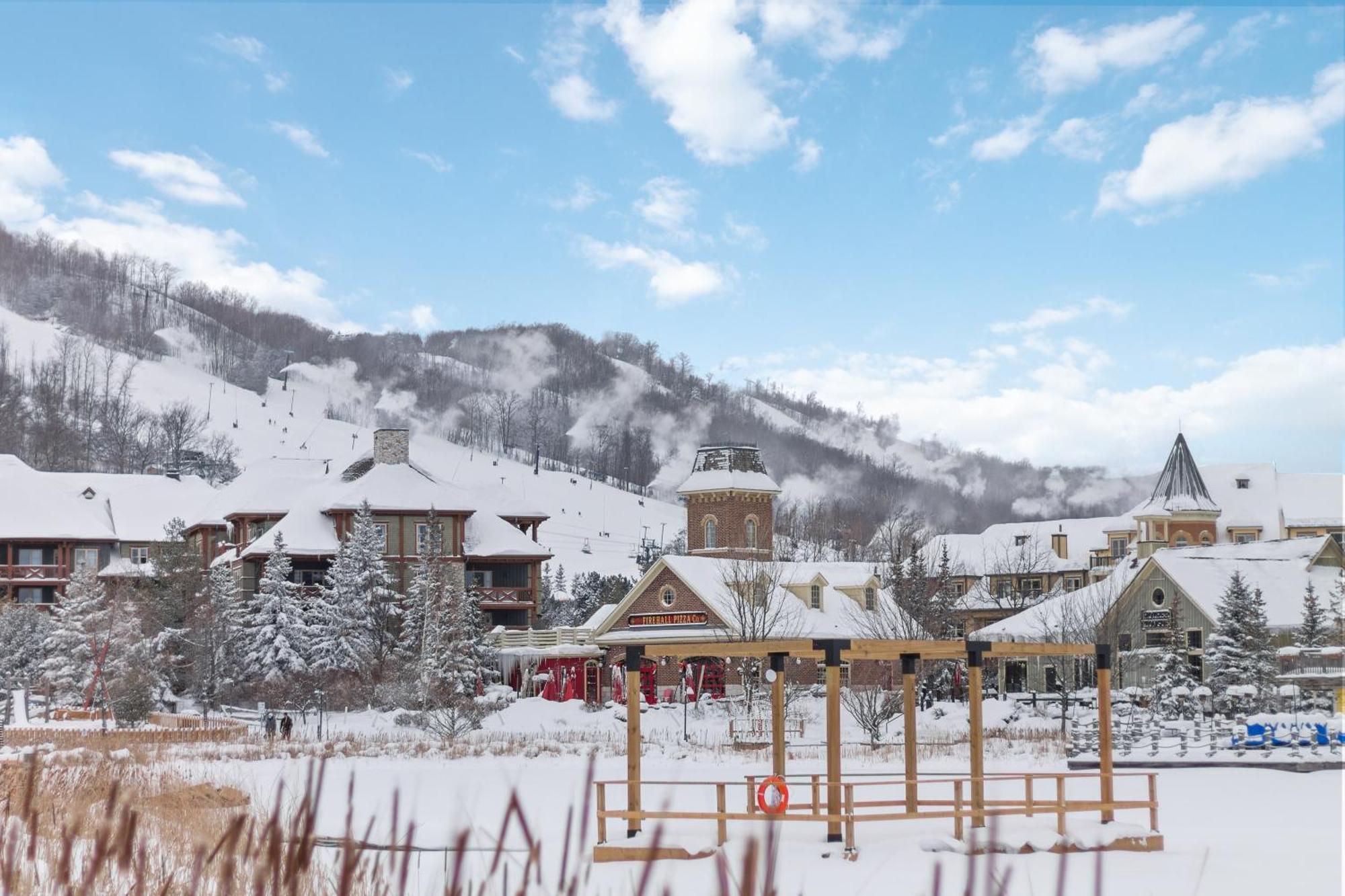 Lovely 3 Bedroom Wintergreen Retreat W Sauna Blue Mountains Ngoại thất bức ảnh